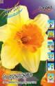 Нарцисс Фортиссимо 75