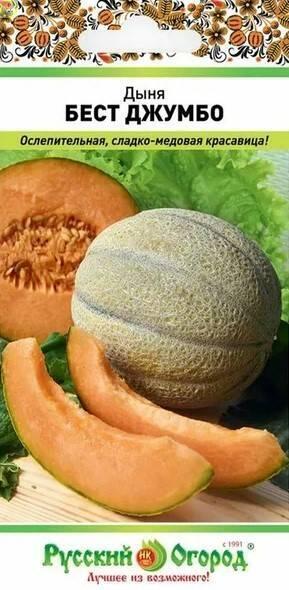 Дыня Бест Джумбо НК