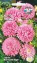 Астра Эмма Виктория Баум розовая Сед