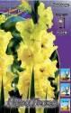 Гладиолус Нова Люкс 12/14 100 шт