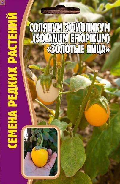Солянум Эфиопикум Золотые яйца Реш