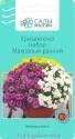 Хризантема Набор Махровый ранний СиО