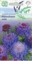 Скабиоза Лавандовая леди пурпурная Гав
