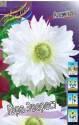 Анемона Гора Эверест 15шт