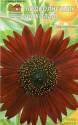Подсолнечник Шоколад Наш