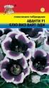 Глоксиния Аванти блю виз вайт эдж F1 УУ