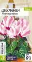 Цикламен Розмари мини СА