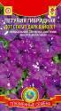 Петуния Дот Стар F1 Дарк Вайолет Плз