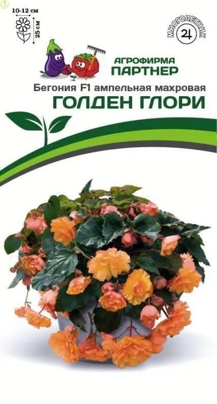 Бегония Голден Глори ампельная махровая F1 Пар