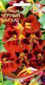 Настурция Черный Бархат ССО