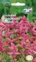 Сальвия Розовый замок хорминовая розовая Сед