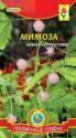 Мимоза Стыдливая Плз