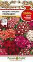 Гвоздика турецкая Голландия НК