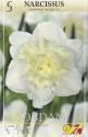 Нарцисс Обдам махровый 5 шт 12-14