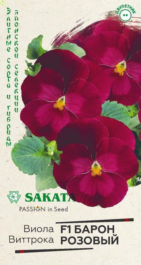 Виола Барон Розовый F1 Гав