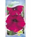 Петуния Дримс бургунди пикоти Акв
