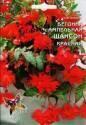 Бегония Шансон красная ССО