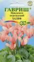 Цикламен Халиф Гав