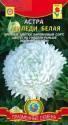 Астра Миледи белая Плз