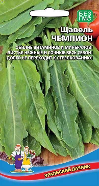Щавель Чемпион УД