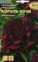 Гвоздика Король ночи гренадин Аэл