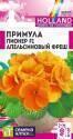 Примула Пионер Апельсиновый фреш СА