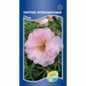 Портулак Крупноцветковый пинк Акв