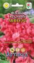 Флокс Минуэт махровый Арт