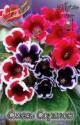 Глоксиния Смесь сортов 3 шт