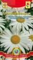 Ромашка Серебряная принцесса садовая Плз