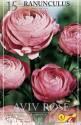 Ранункулюс Роуз 15 шт 7/+