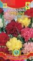 Гвоздика Гренадин Плз