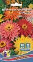 Цинния Счастье кактусовидная УД