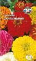 Цинния Санта Мария Сед