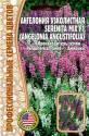 Ангелония узколистная Serenita mix F1 Реш