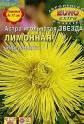 Астра Звезда лимонная игольчатая Аэл