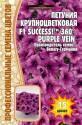 Петуния Success 360 Purple vein Реш