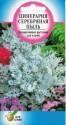 Цинерария Серебряная пыль ССО