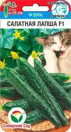 Огурец Салатная лапша СС