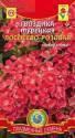 Гвоздика турецкая Лососево-розовая Плз