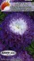 Астра Кружевница фиолетовая помпонная Аэл