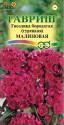 Гвоздика бородатая Малиновая Гав