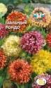 Гайлардия Рондо красивая Сед