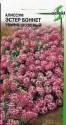 Алиссум Эстер Боннет темно-розовая ССО