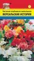Бегония Версальская история УУ