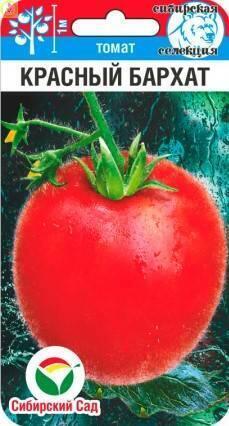 Томат Красный бархат СС