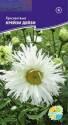 Хризантема Крейзи Дейзи Акв