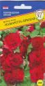 Шток-роза Мажоретта Красная Прес