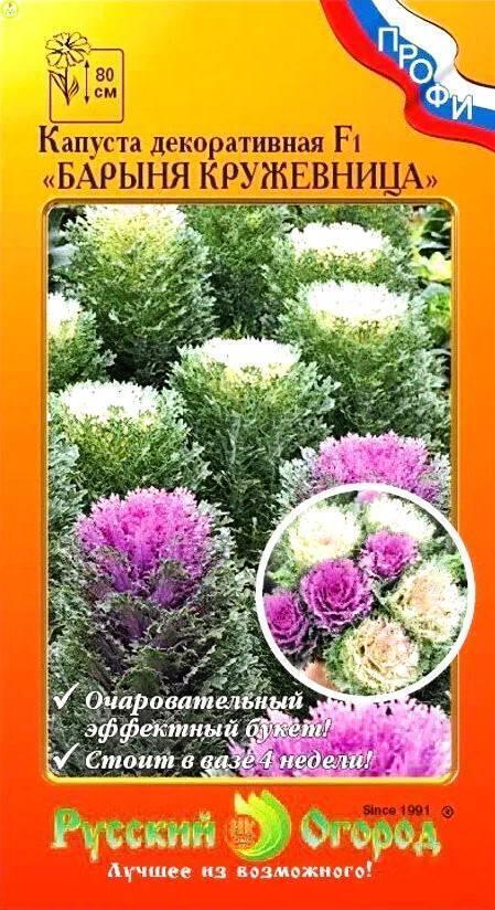 Капуста декоративная Барыня кружевница F1 НК