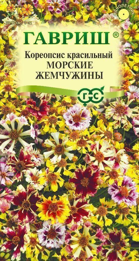 Кореопсис Морские жемчужины Гав